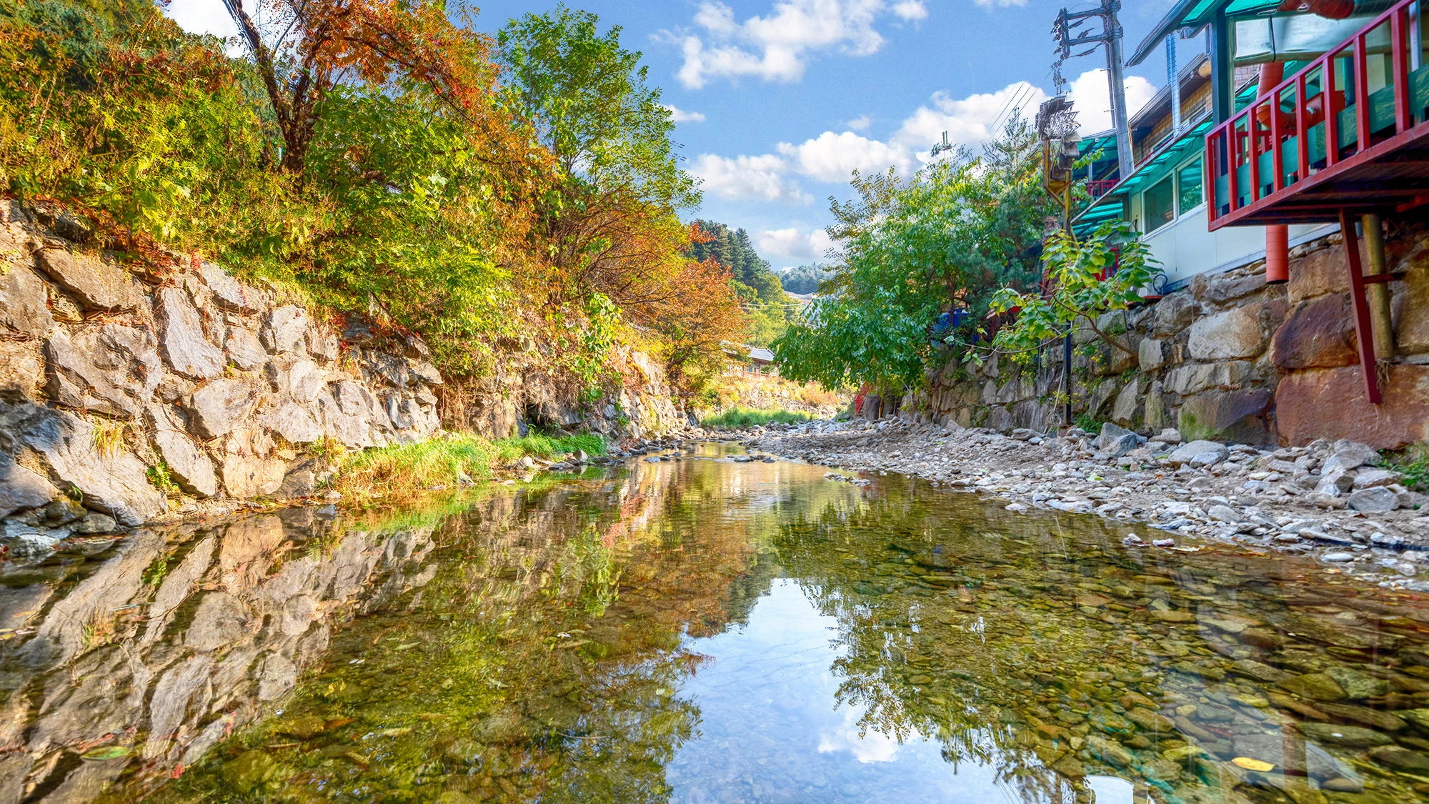 스페셜 사진2